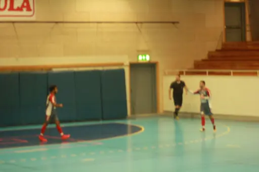 Lite bilder från dagens match i Skara Idrottshall
