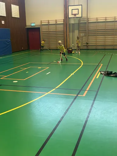 Bilder från 5, 12, 19, 26 oktober och 2 november