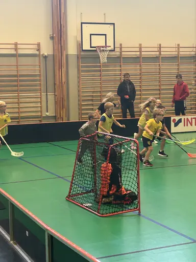 Bilder från 5, 12, 19, 26 oktober och 2 november