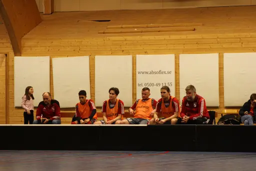 Lite bilder signerade Fatma Gutic