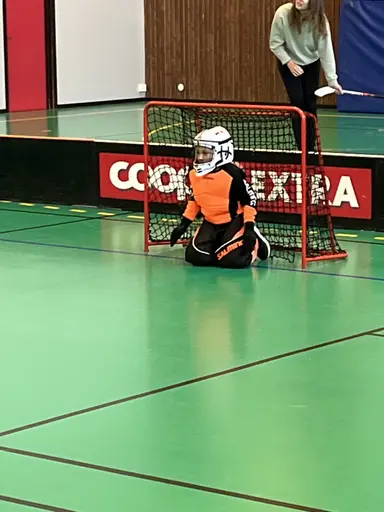 Bilder från 5, 12, 19, 26 oktober och 2 november