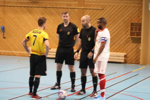 2 lag i olika grupper, drygt 20 spelare och 13 pinnar på 6 matcher!