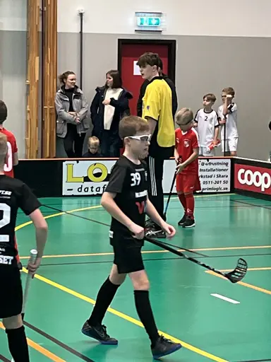 Varnhem , Falköping och Mullsjö