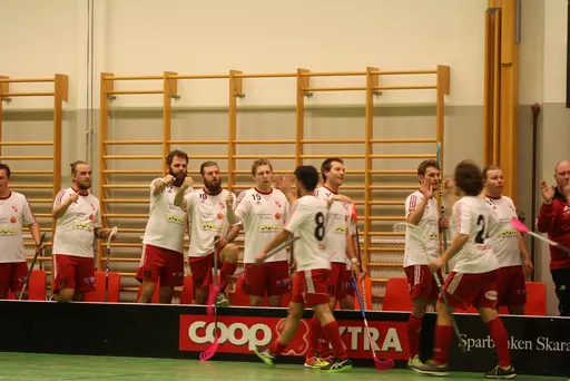 Lite blandade matchbilder och de var en match helt i publikens match........