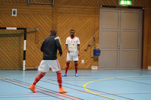 2 lag i olika grupper, drygt 20 spelare och 13 pinnar på 6 matcher!