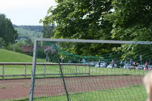 50 startande och alla har kommit i mål, topp 3 på bild!