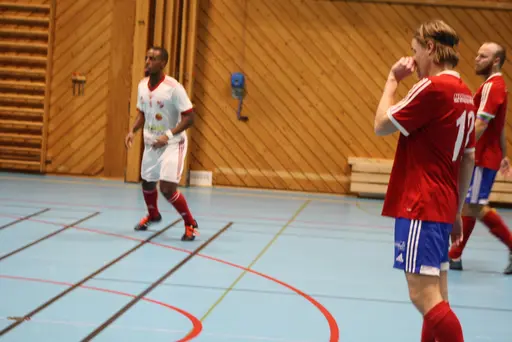 2 lag i olika grupper, drygt 20 spelare och 13 pinnar på 6 matcher!