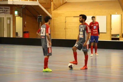Lite bilder signerade Fatma Gutic
