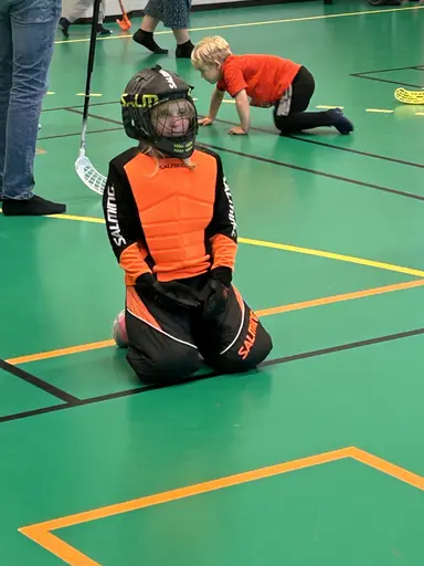 Bilder från 5, 12, 19, 26 oktober och 2 november