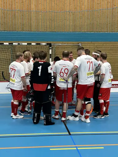 Lite bilder från innebandysektionen 2024!
