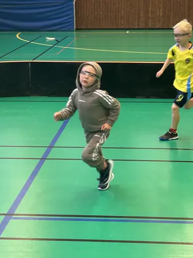 Bilder från 5, 12, 19, 26 oktober och 2 november