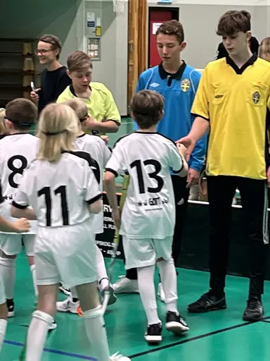 Varnhem , Falköping och Mullsjö