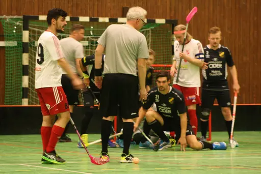 Lite blandade matchbilder och de var en match helt i publikens match........