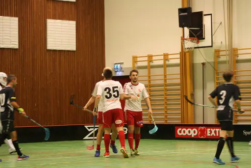 Lite blandade matchbilder och de var en match helt i publikens match........