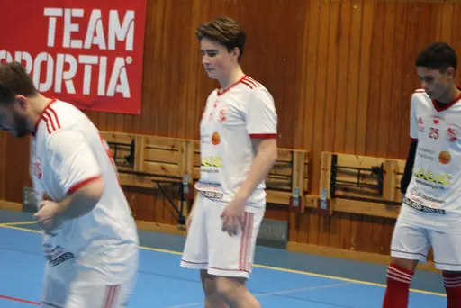 2 lag i olika grupper, drygt 20 spelare och 13 pinnar på 6 matcher!