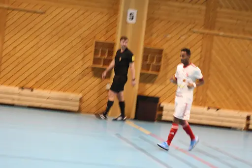 2 lag i olika grupper, drygt 20 spelare och 13 pinnar på 6 matcher!
