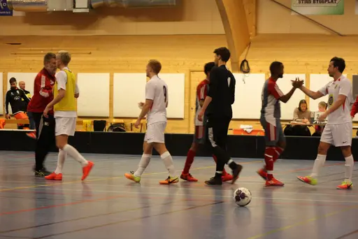 Lite bilder signerade Fatma Gutic