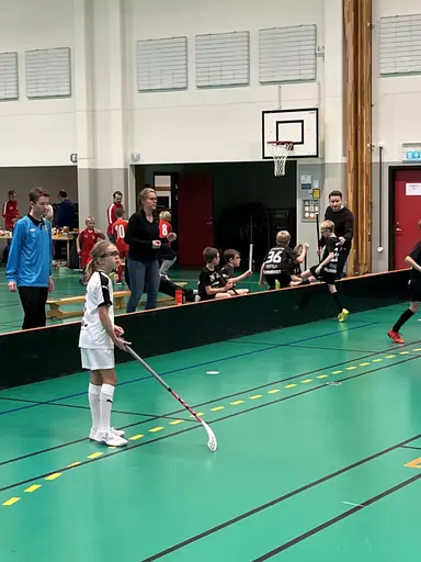 Varnhem , Falköping och Mullsjö