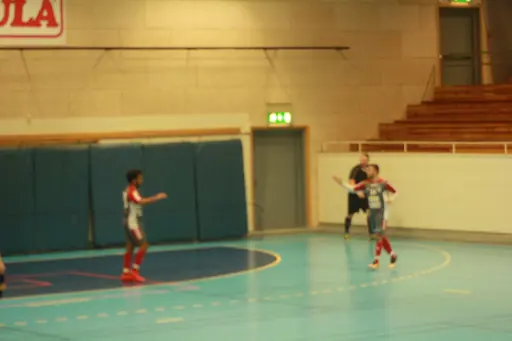 Lite bilder från dagens match i Skara Idrottshall