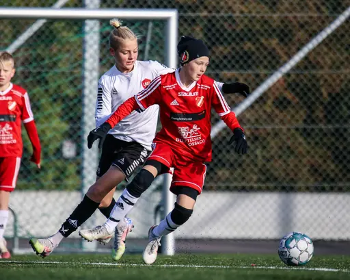 Alla bilder tagna av @posterlach