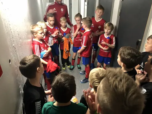 Skånecupen ”final” 2018/2019