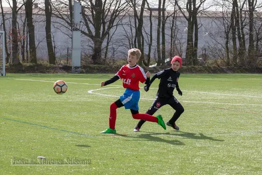 Bilder från Lördagens och Söndagens sammandrag i Trelleb