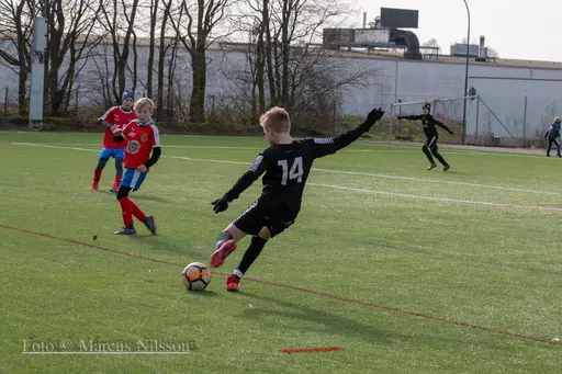 Bilder från Lördagens och Söndagens sammandrag i Trelleb