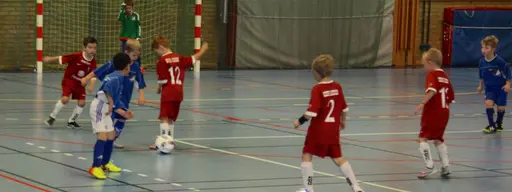 Romelecupen 2016!