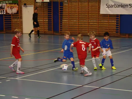 Romelecupen 2016!