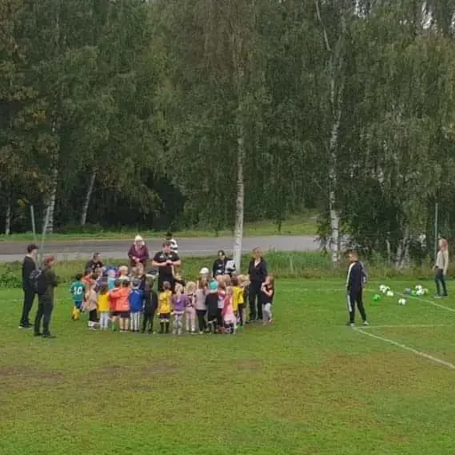 Avslutning bollkul