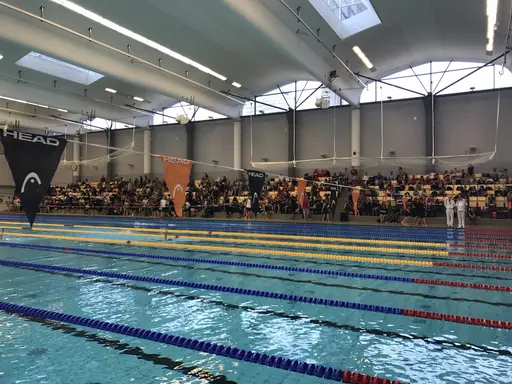 Fullsatta läktare på Eriksdalsbadet