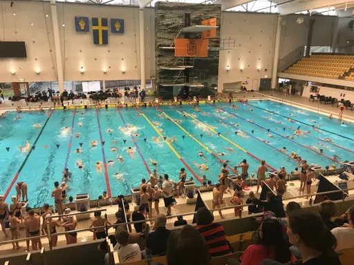 SPIF-simmare under Sum-Sim Regionsfinal Stockholm 2017