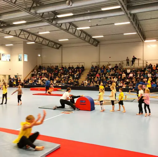 Uppvisning i Salming Arena 4/5 2019