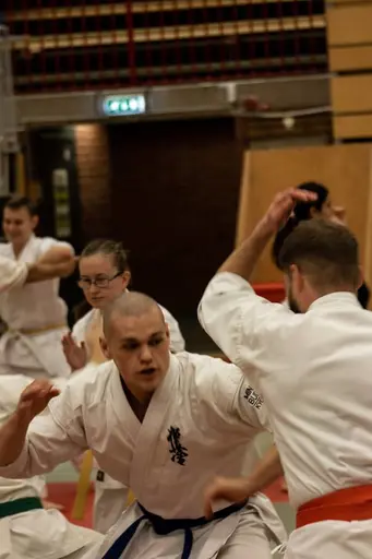 Foto: Patrik Bergman