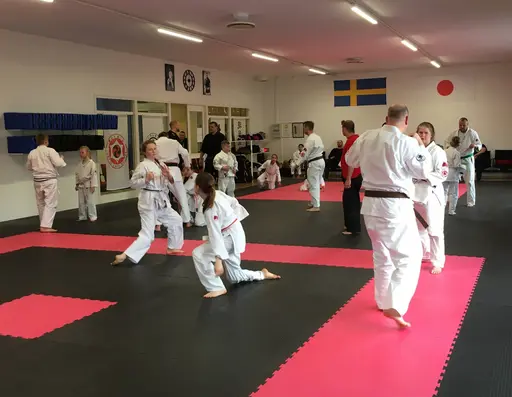 Foto: Maud Pettersson