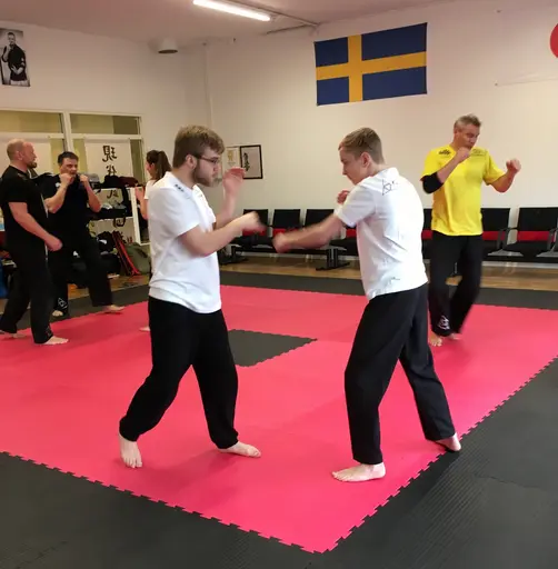 Foto: Maud Pettersson
