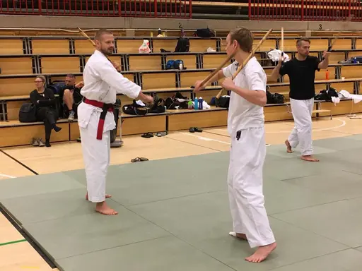 Foto: Maud Pettersson