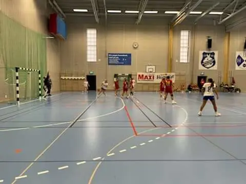 F16 USM-lag