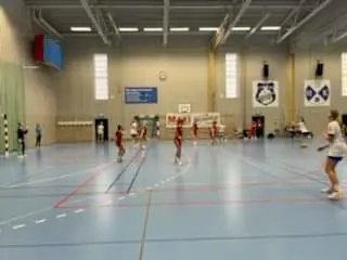F16 USM-lag