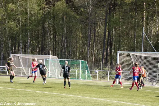 fotograf VIF-supportern Arne Johansson