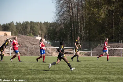 fotograf VIF-supportern Arne Johansson