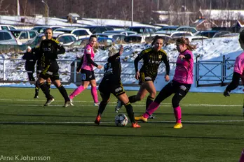 seger med 2-1i premiären
