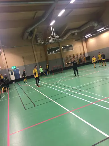 goa bilder från en go dag i Linköping, det blev guld för båda lagen