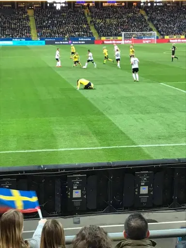 Heja Sverige !