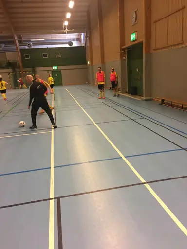 goa bilder från en go dag i Linköping, det blev guld för båda lagen