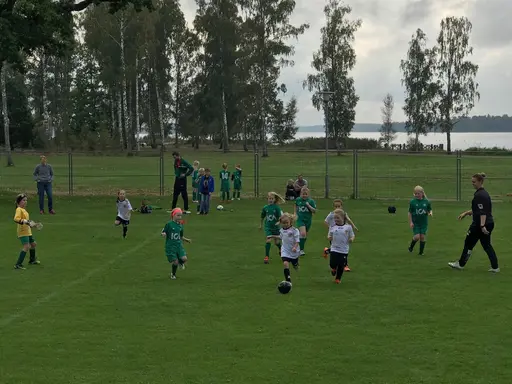 Foton från matchen. Alla bilder är tagna av Robin Månsson (HFK).