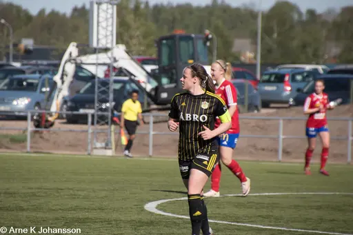 fotograf VIF-supportern Arne Johansson