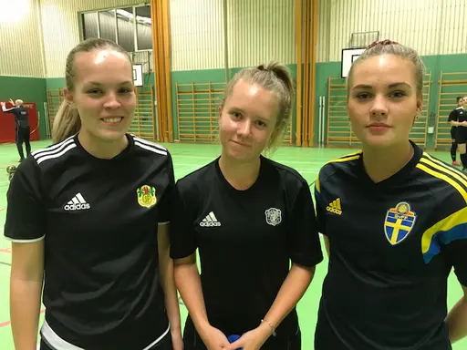 Stina, Kjutese, Moa, Elin, Maja, Alice - alla klara för 2019! 
