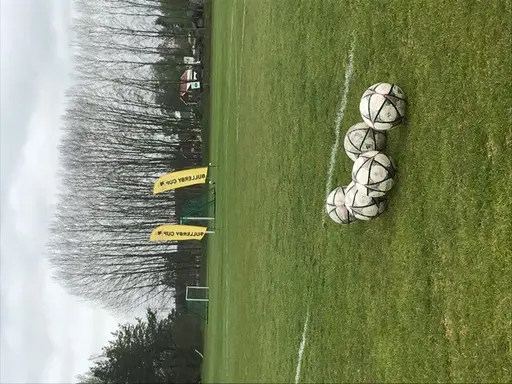 Bilder från dagen