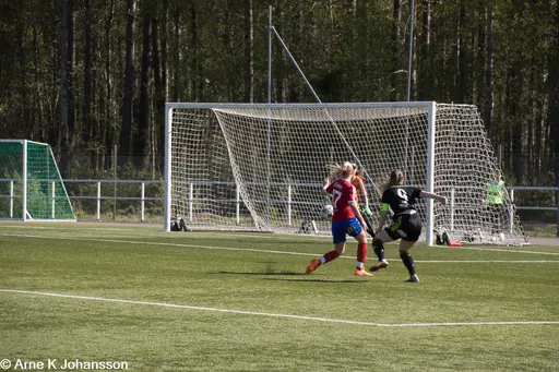 fotograf VIF-supportern Arne Johansson